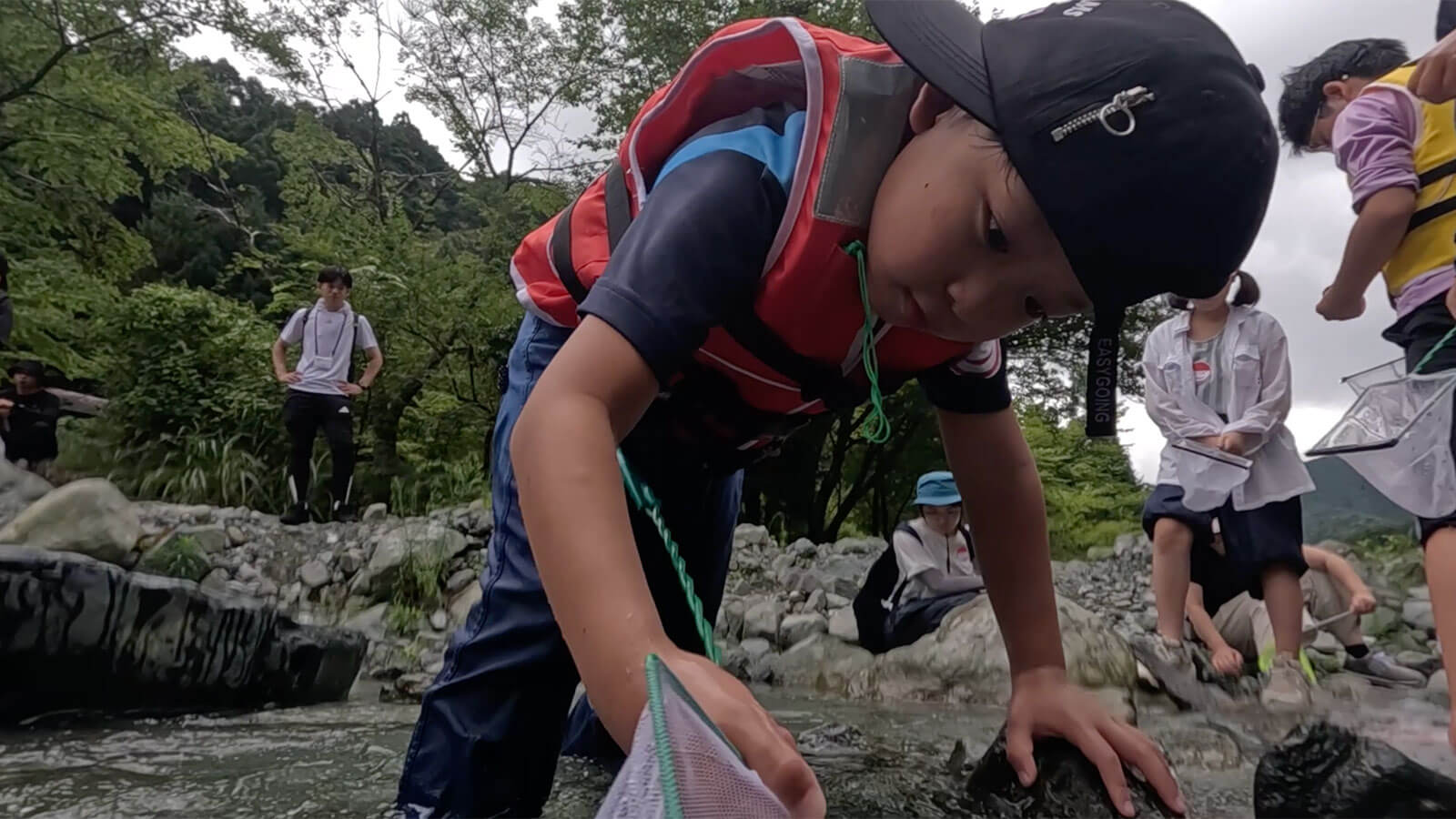 水源の森林観察会